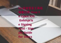 ios企业签名工具在哪里打开-How to Open iOS Enterprise Signing Tool - Simple Guide for Users