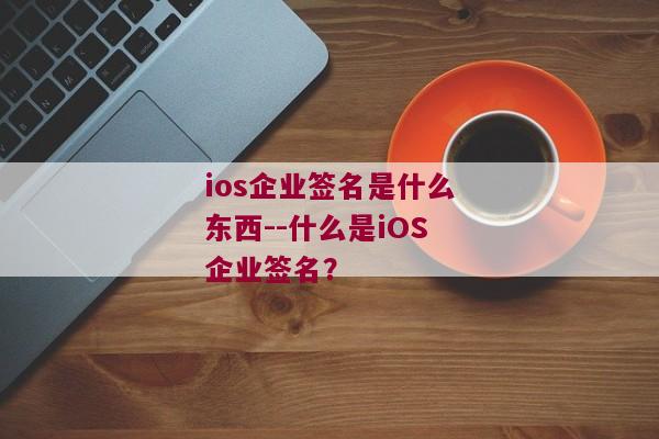 ios企业签名是什么东西--什么是iOS企业签名？