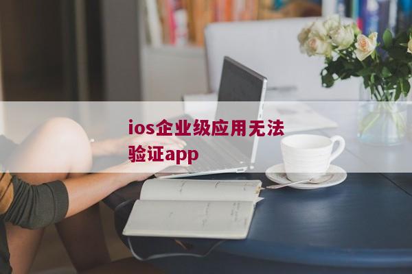 ios企业级应用无法验证app